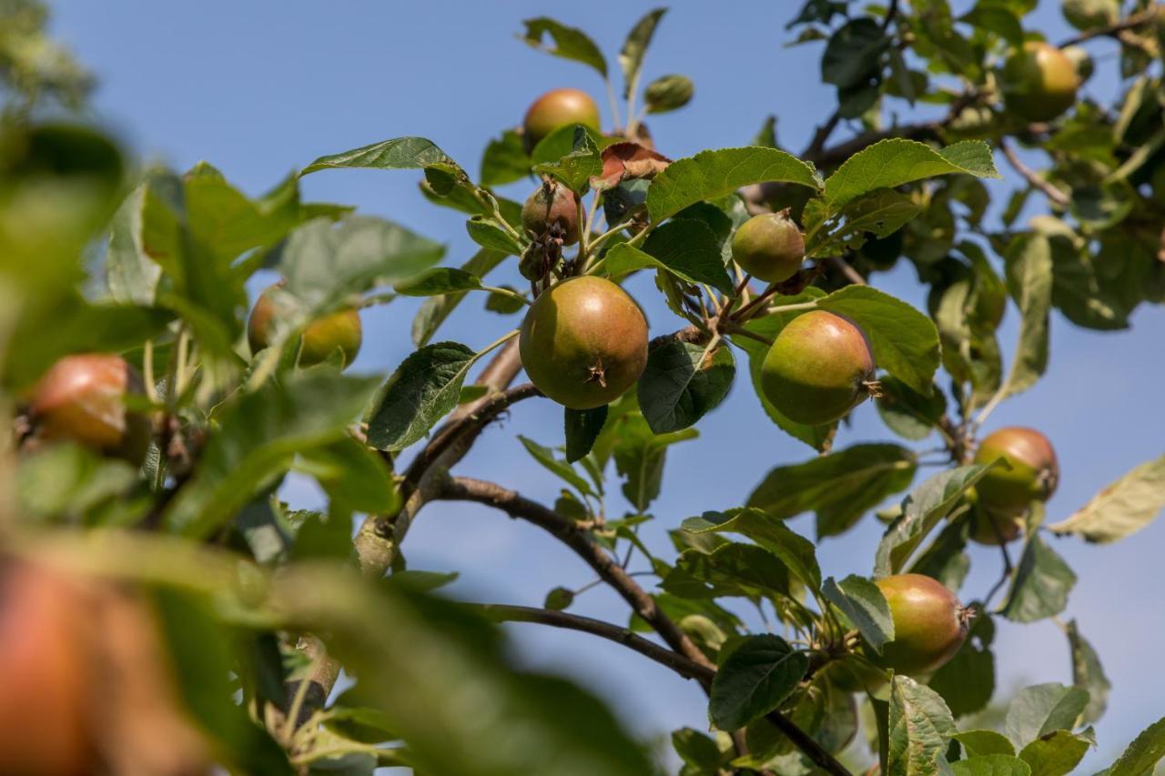 Meliskerke De Notenboom מראה חיצוני תמונה